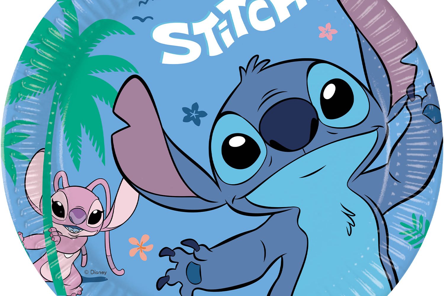 Stitch Verjaardags Feest Thema