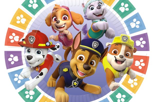 Paw Patrol Verjaardags Feest Thema